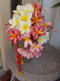 Plumeria Flower Mixed Assortment- Available Late March- Early September