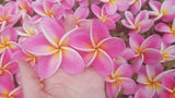 Kauilani