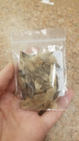 Plumeria Seeds (30 seeds/pack)